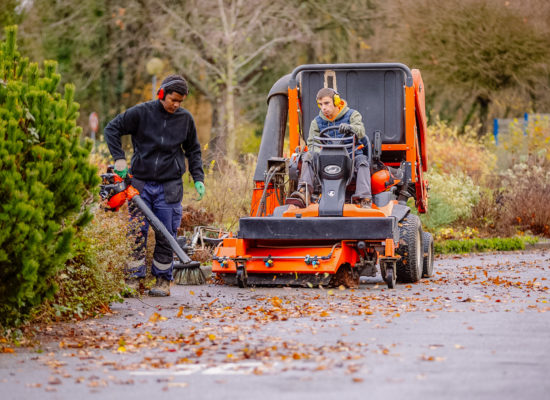 Pratique sur terrain