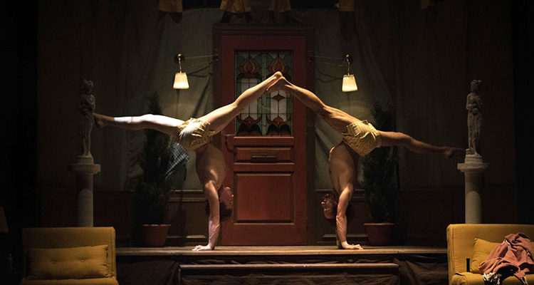 CIRQUE LEROUX DANS LA NUIT DU CERF