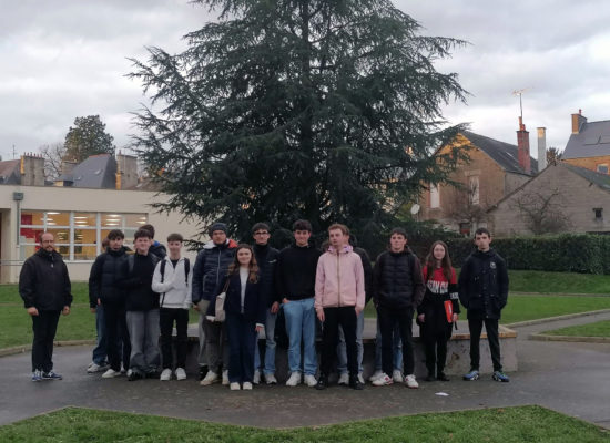 Végétalisation du collège Ste Marie