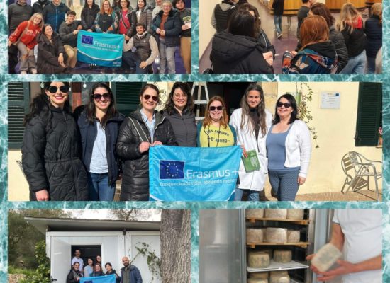 Erasmus+ : Un séjour d’apprentissage à Majorque