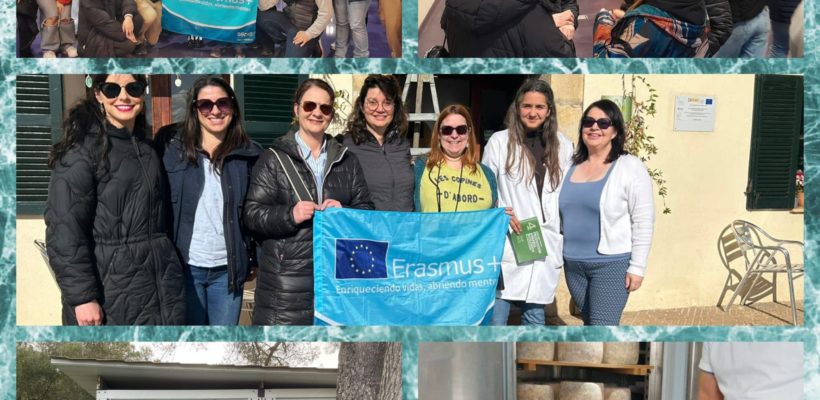 Erasmus+ : Un séjour d’apprentissage à Majorque