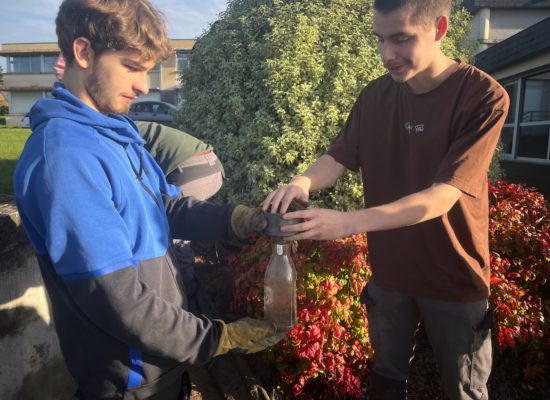 Pluridisciplinarité en action 🌱