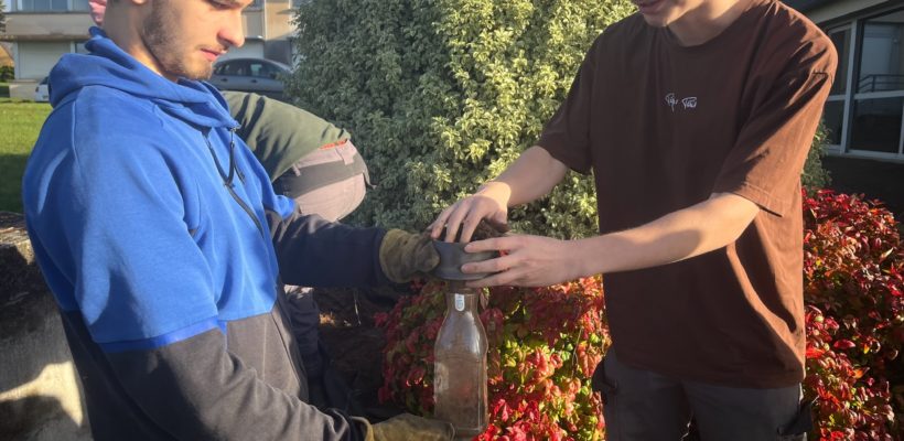 Pluridisciplinarité en action 🌱