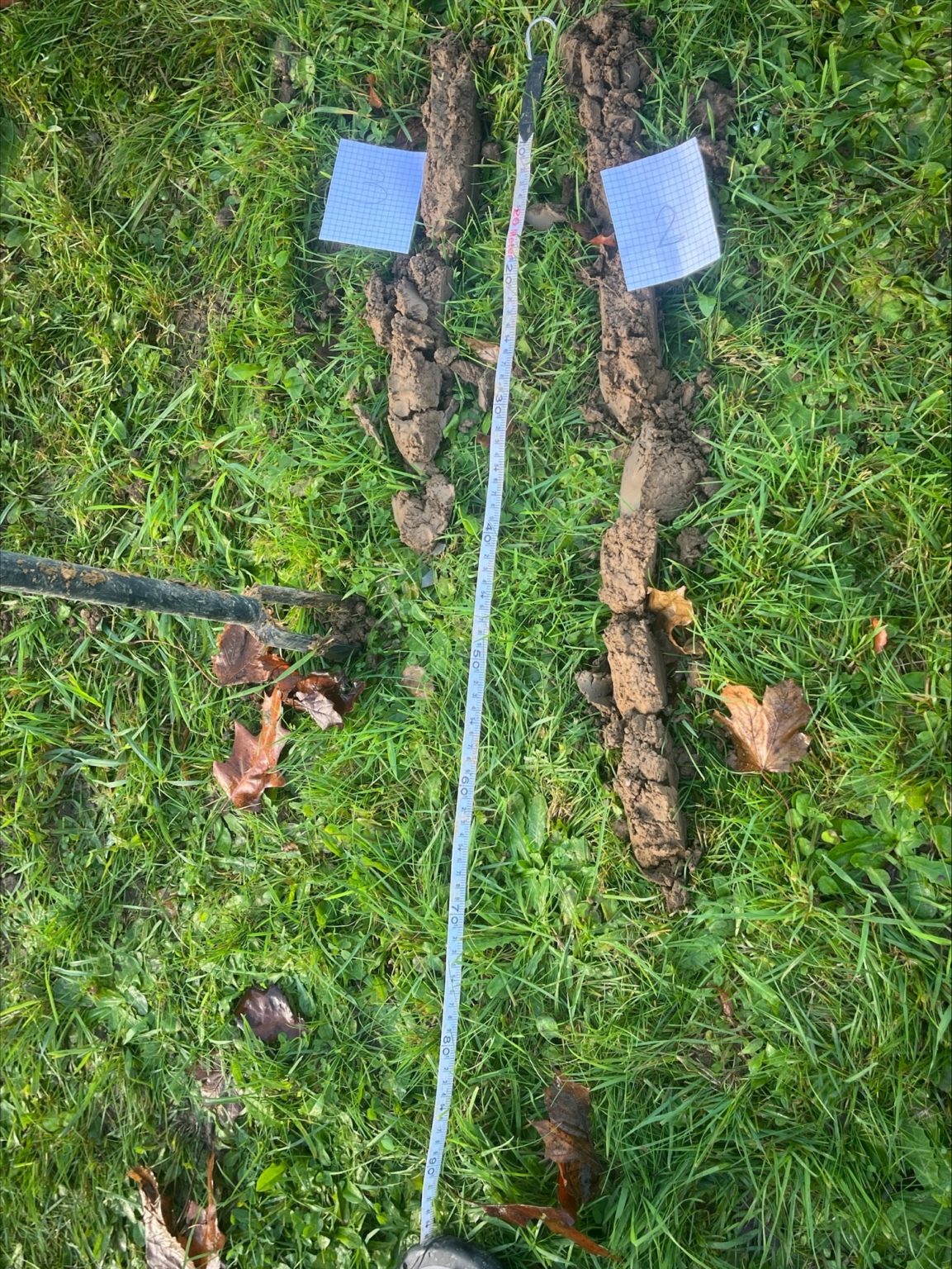 processed-E78389E9-A299-4A29-98A0-C0D3DC8F5472